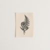 Fern Note