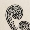 Fern Note