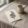 Fern Note